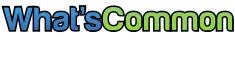 Logo text